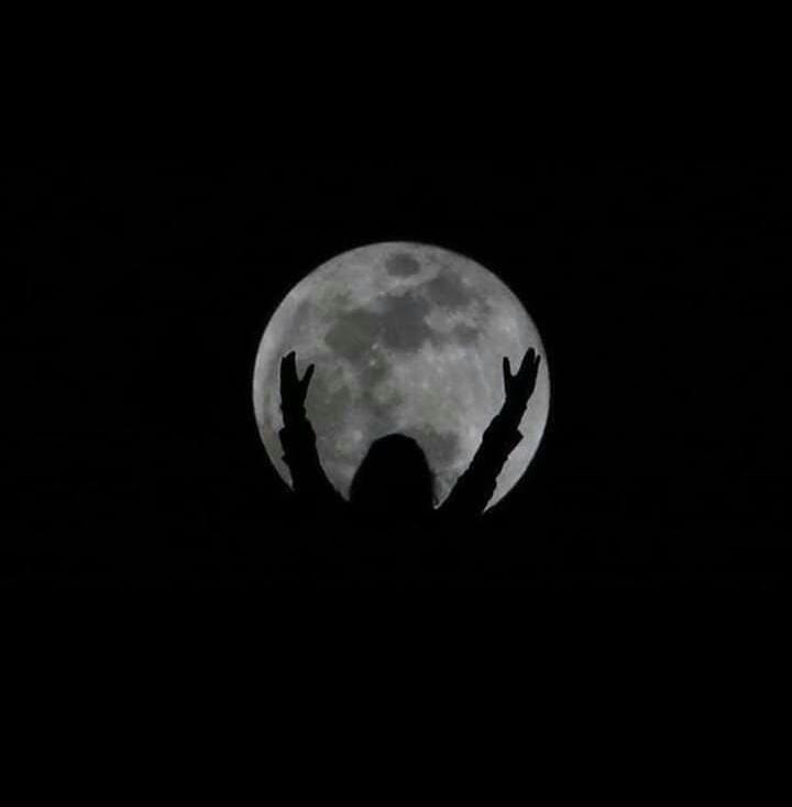 حبه صلى الله عليه وسلم للطيب | أكاديمية زاد العلمية ZAD Academy