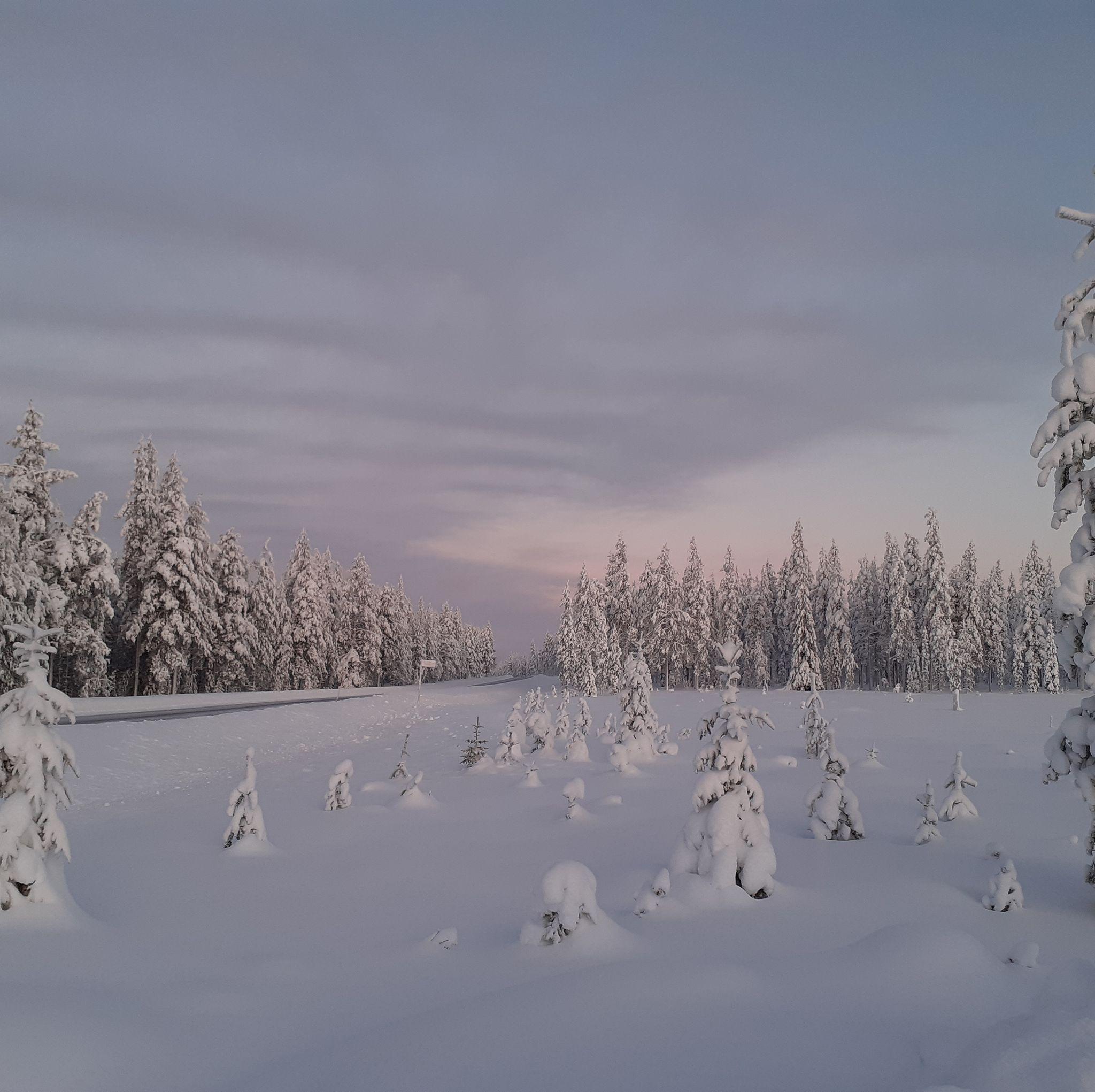 Eläkeläisenä saat kaukoliikenteen lipuista 20 % ja lähiliikenteen ...