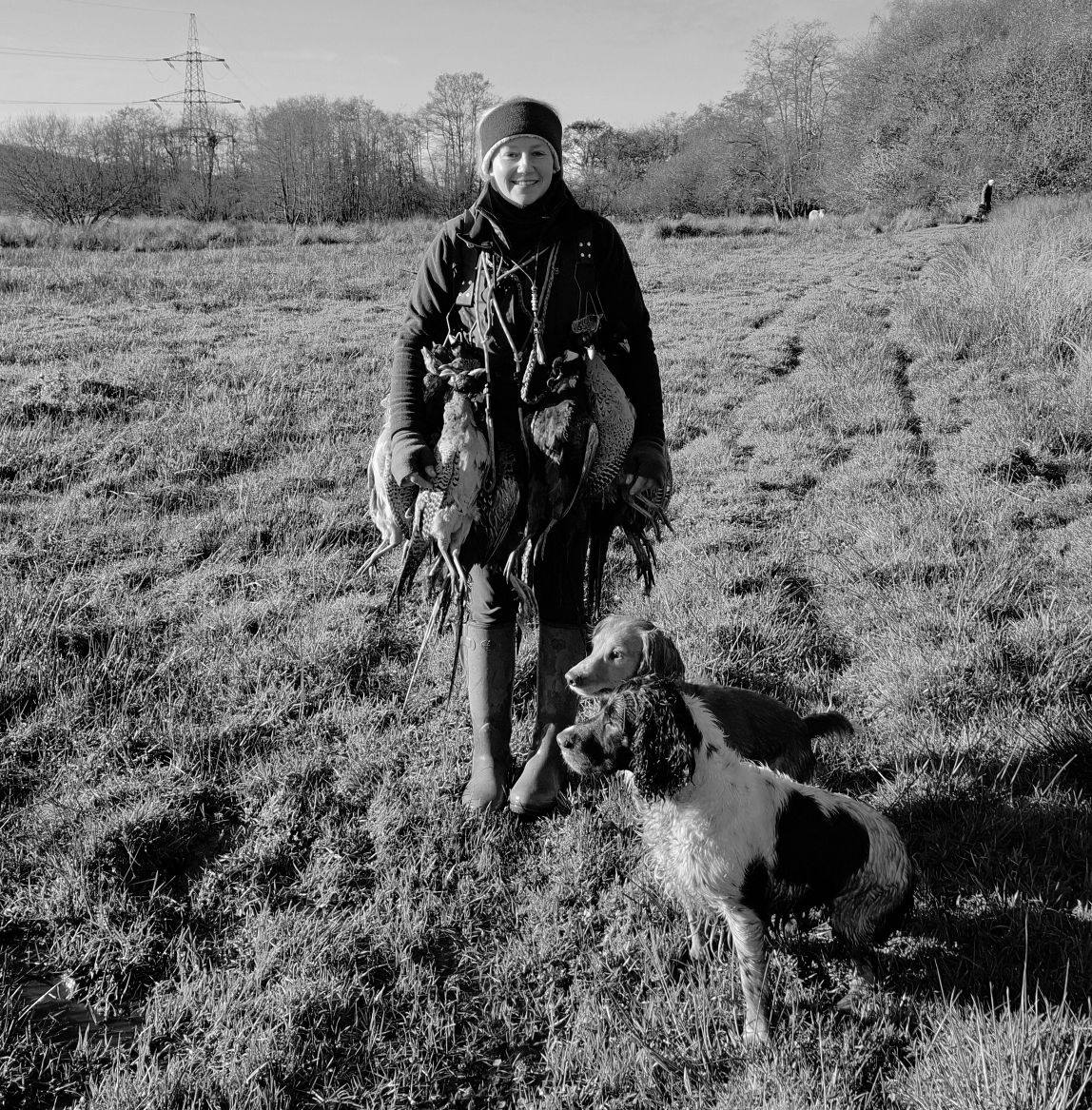 Springer Spaniels UK | Hi everyone just wondering what you are all ...