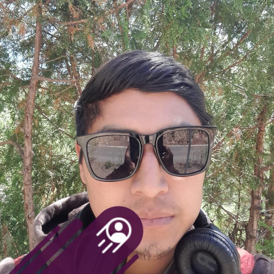 Hidel Hawk