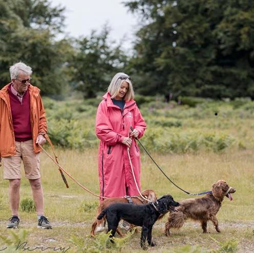 Agility news | Royal Kennel Club | The Kennel Club Agility Stakes ...