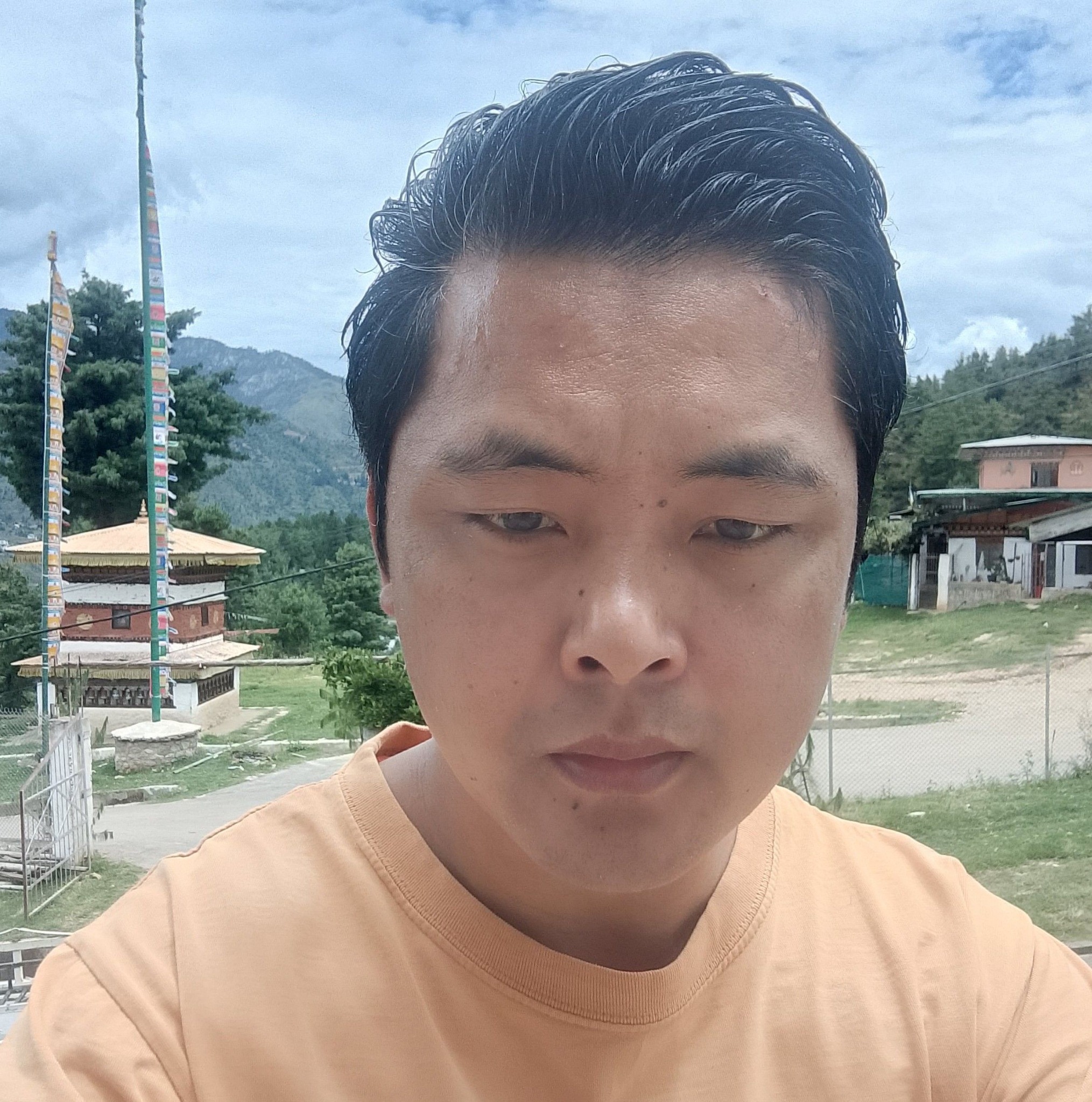BHUTANESE fb First News & FORUMS | No amounts of GST could ever fund ...