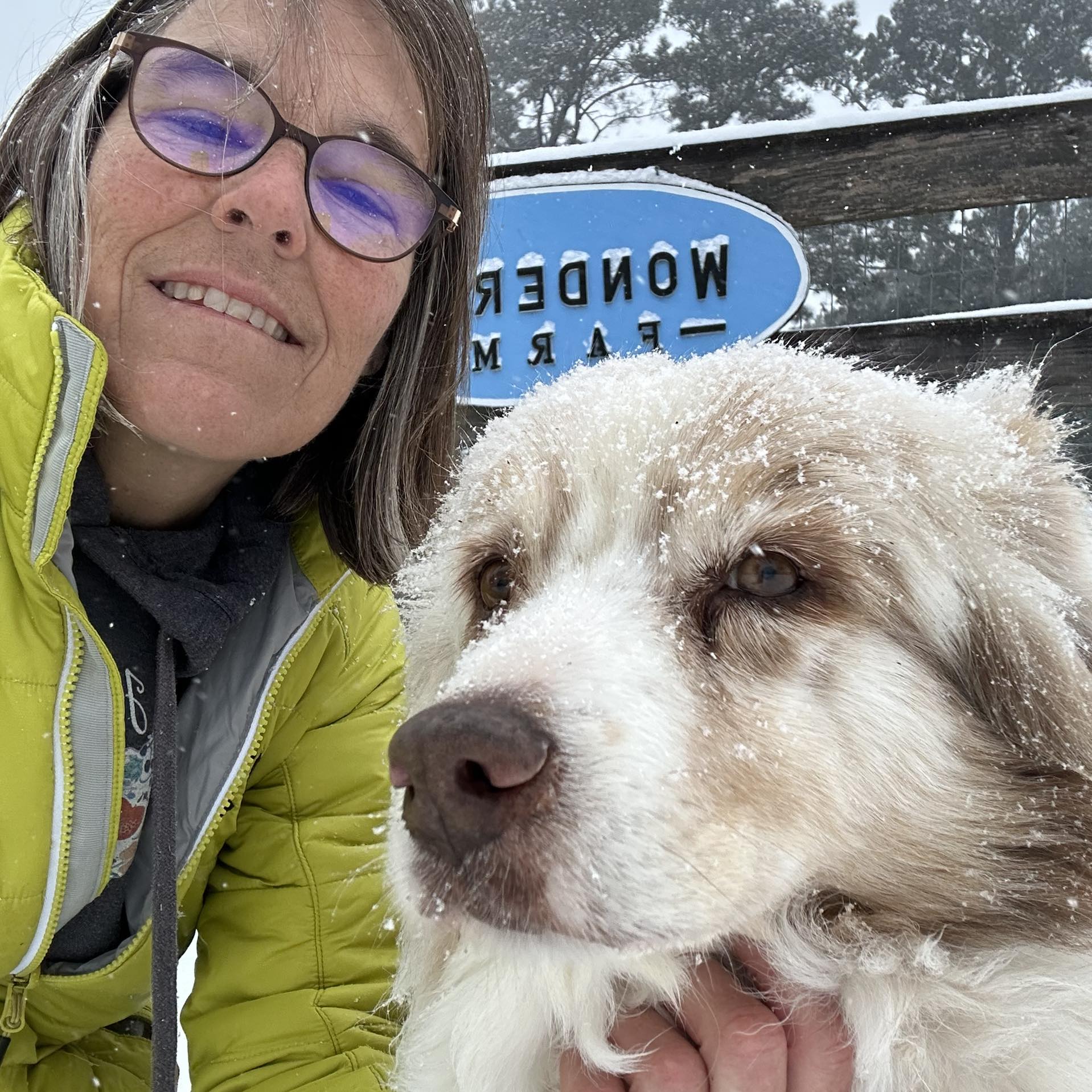 ** OFA Hip & Elbow Results ** | Update: OFA EXCELLENT | Facebook