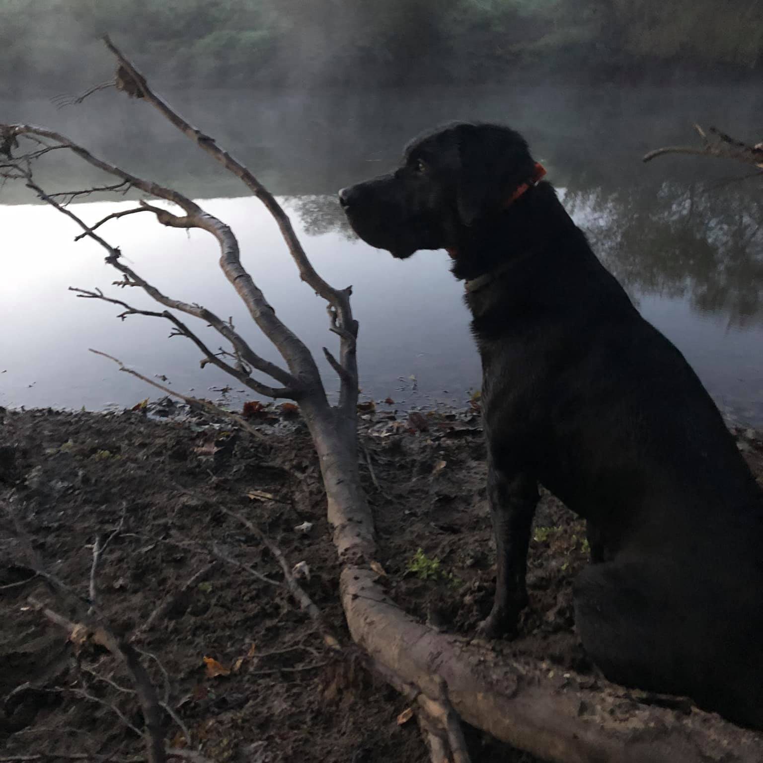 wv fishing report | What parts of stonewall have people had luck ...