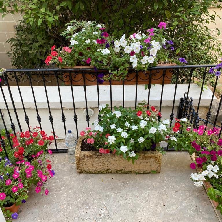 Fans of Hard Rock Hotel Malta | Facebook