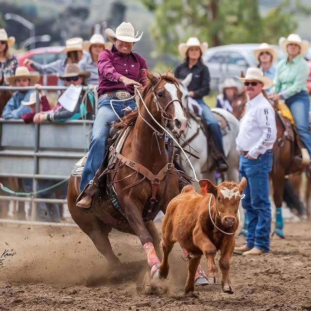 BJ Campbell Team Roping | Salome AZ