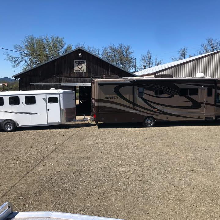 American Elite Rope Horse Sale | Facebook