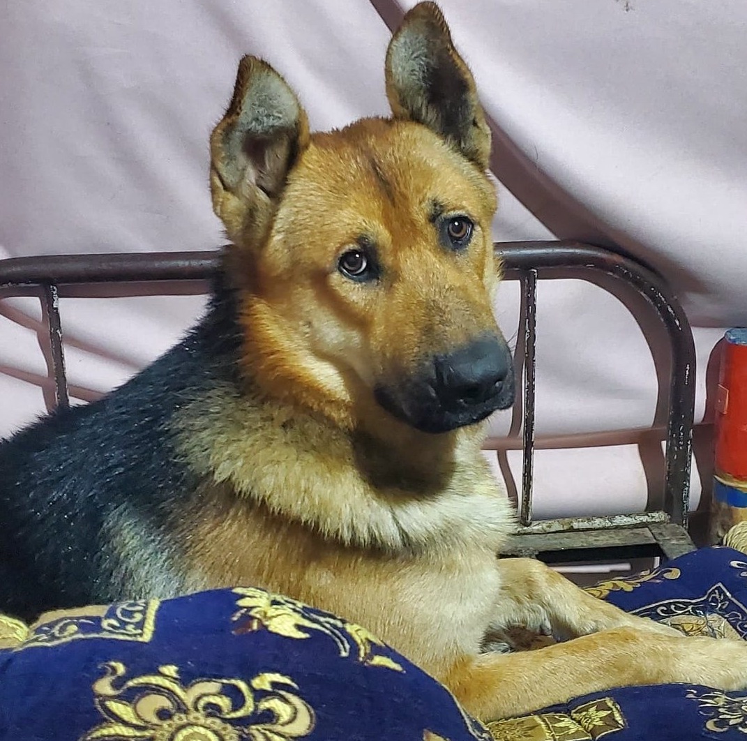 سا بر