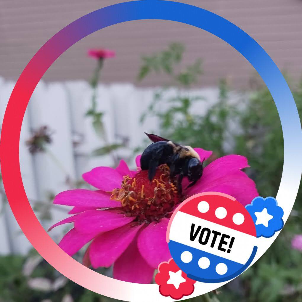 Early voting/ midterm voting locations ? Also where is a good place to ...