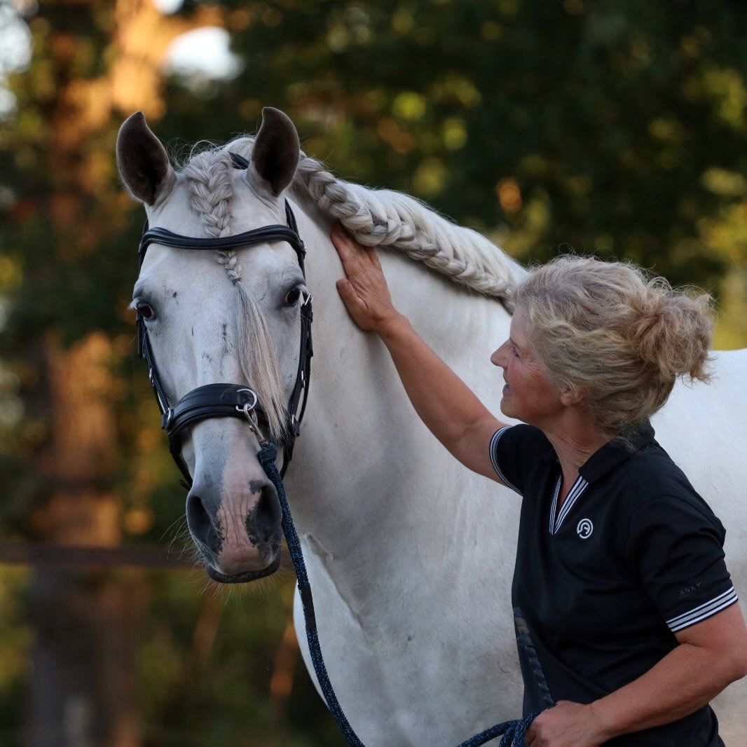 KNHS Paardensport - In de in Nispen bij Dressuurstal Argonaut verreden ...