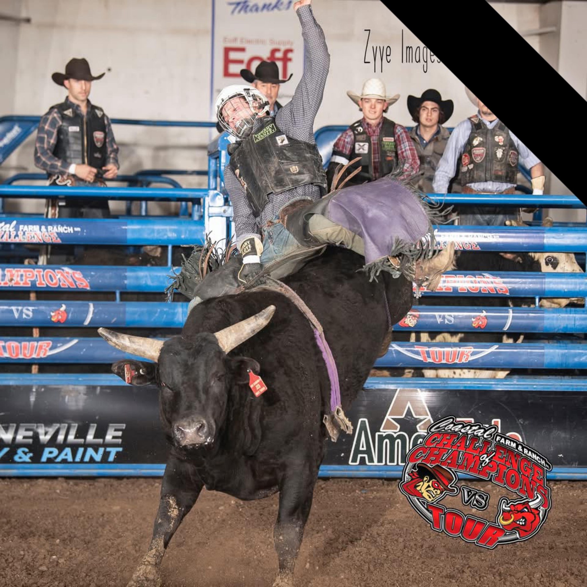 Wyatt Bucking Bulls | Maricopa AZ