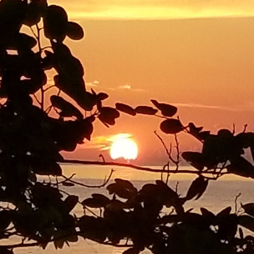 Rentals in Margaritaville Hilton Head | This is an updated list for all ...