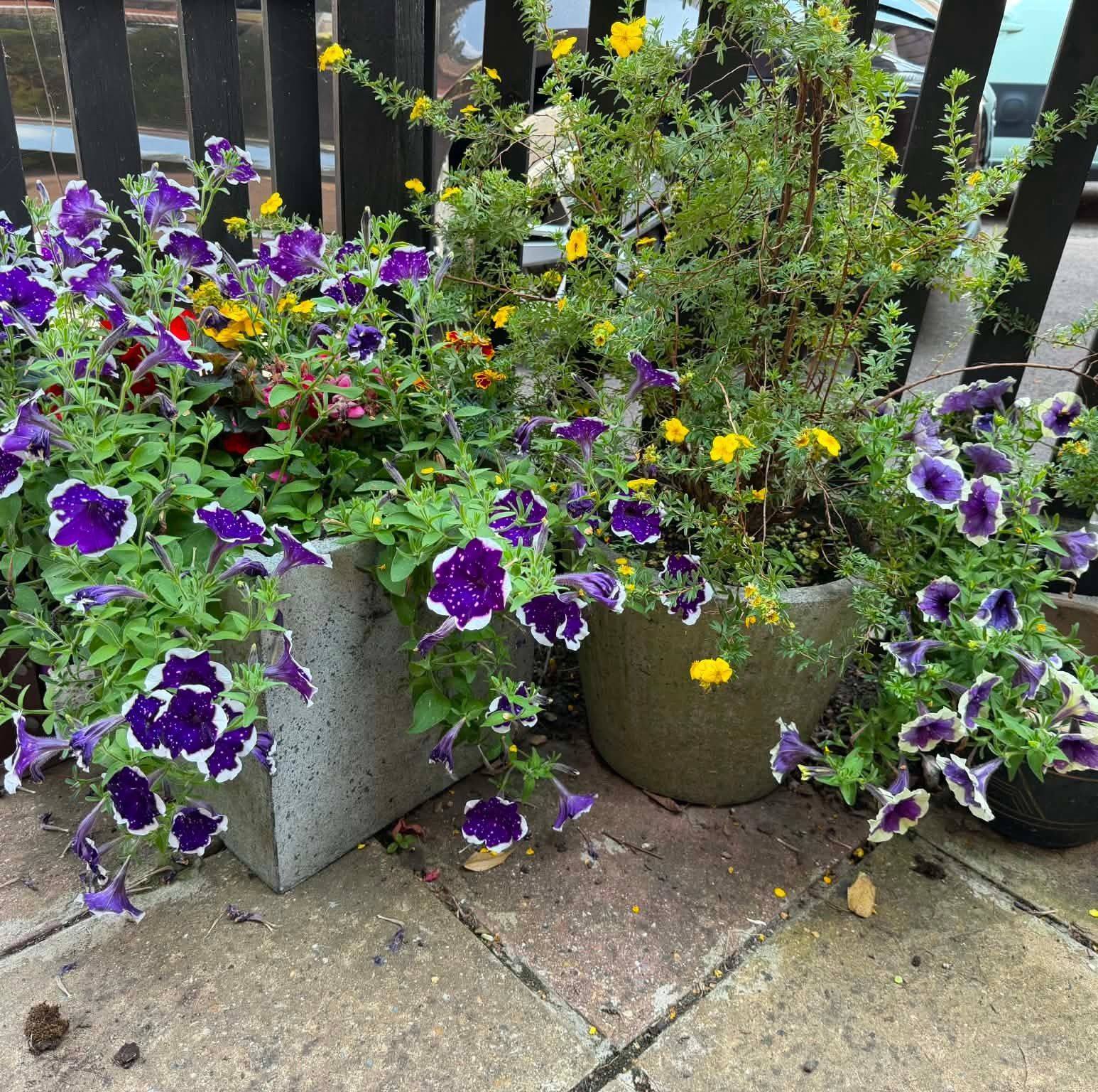 Breamers notice board | Looking for a gardener/handyman to come and ...