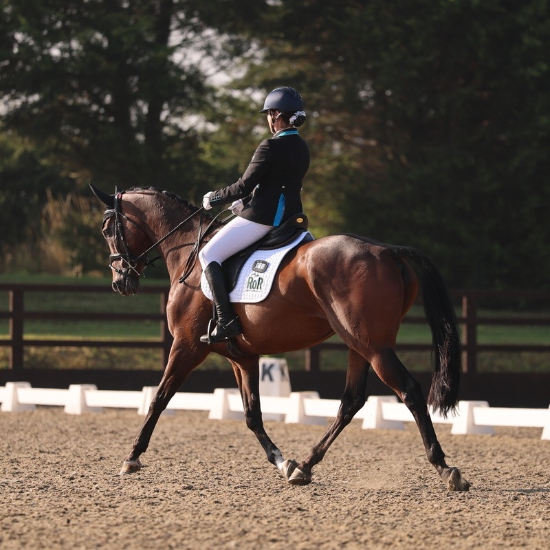 Moorlands Equestrian... - Moorlands Equestrian Centre Ltd