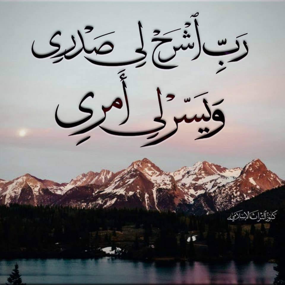 بيتشو امريكان سيتى Becho American City
