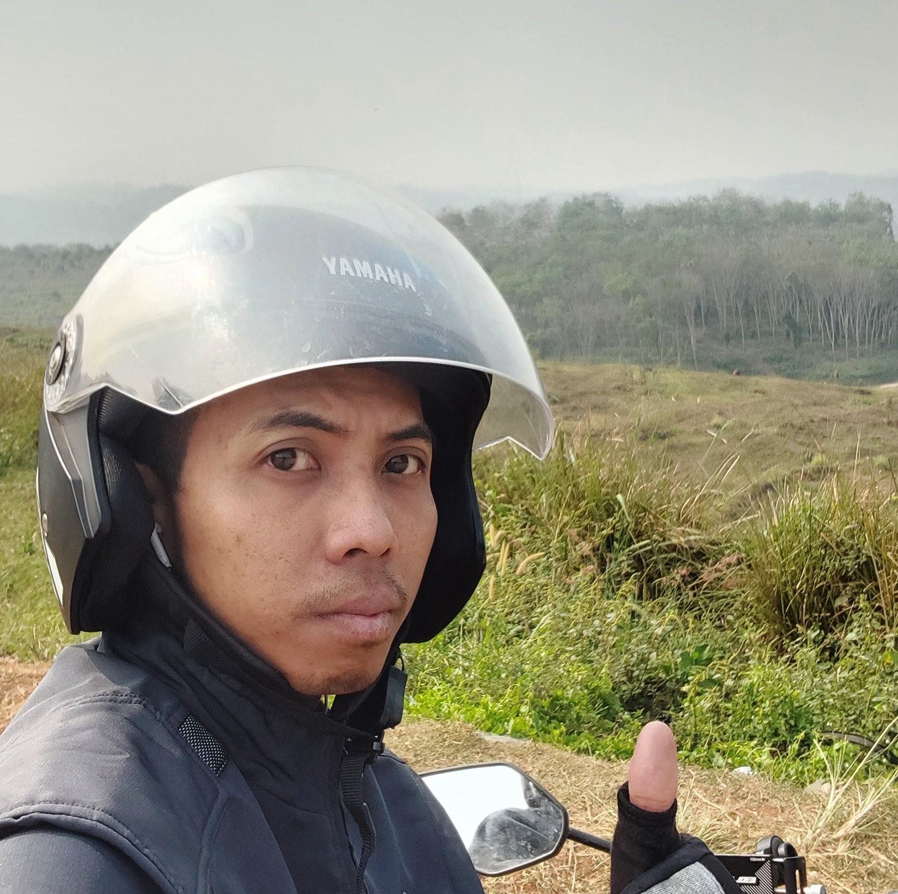 Berikan antracol pada tanaman aglonema yang sudah di potong untuk ...