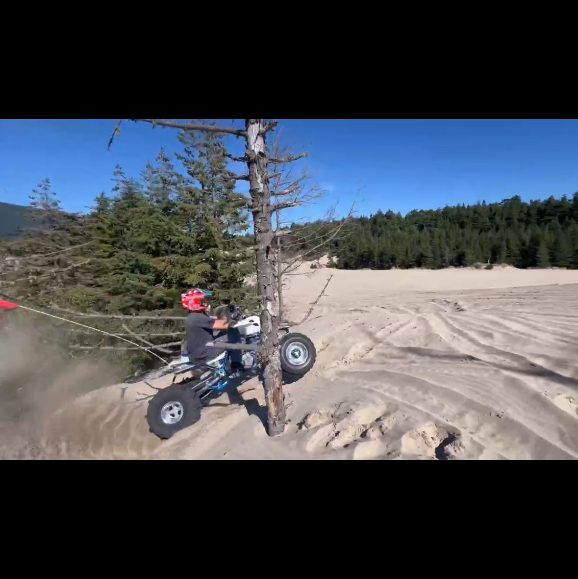 EVERY 4 YEAR OLD NEEDS A DIRTBIKE 🤝 Got rippin ryry his own dirtbike 2 ...