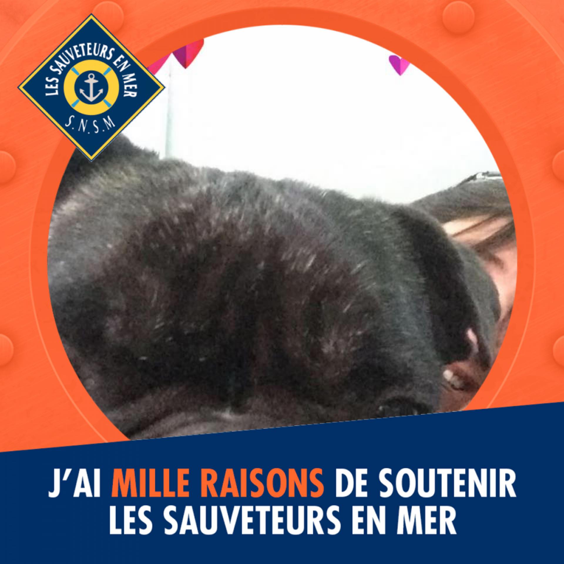 25-roses-pour-25-ans-de-mariage-adeline-barillot-facebook