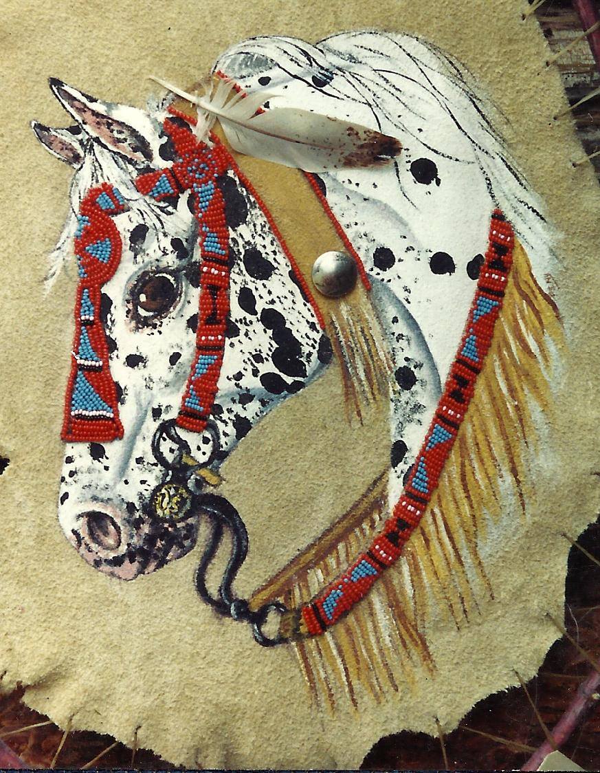 Appaloosa Color and Pattern Inheritance Genetics | Ok I have never seen ...