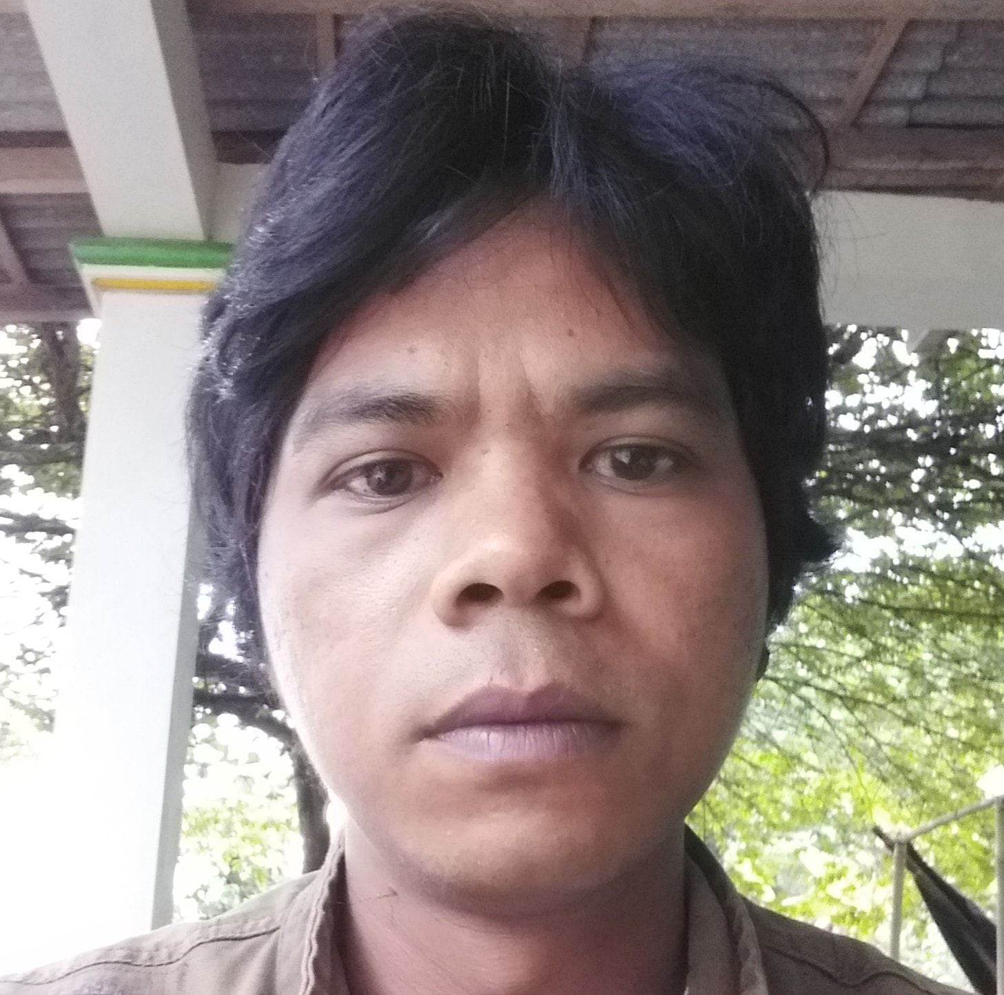 Moldi Aja