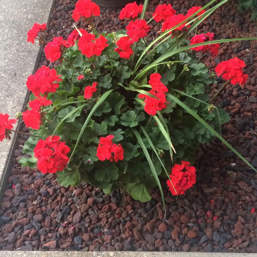 Good morning everyone. Have a blessed Day. | St. John United Methodist ...
