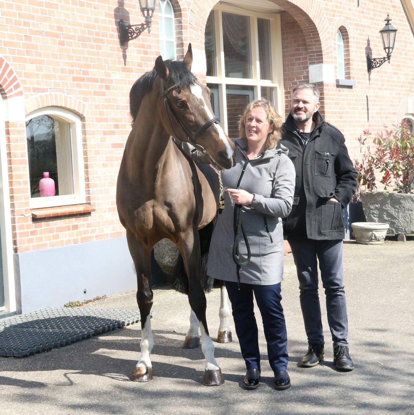 Rouwenhorst Draagmerries | Warnsveld