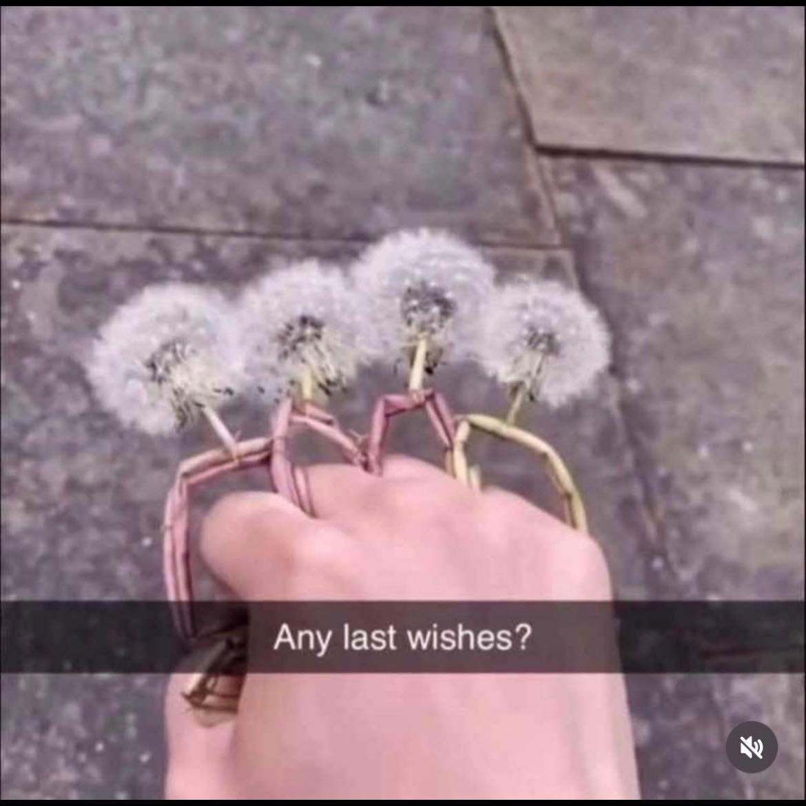 Funny AF Spiritual Memes | What am I??? ~Xoxo | Facebook