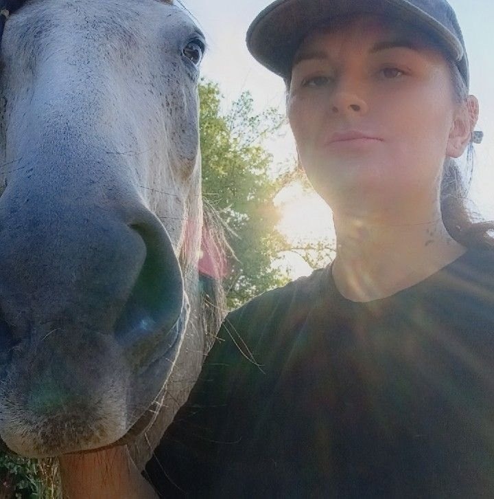BLM Mustang Hub | Anybody pick up this mare (9360) from Columbia | Facebook