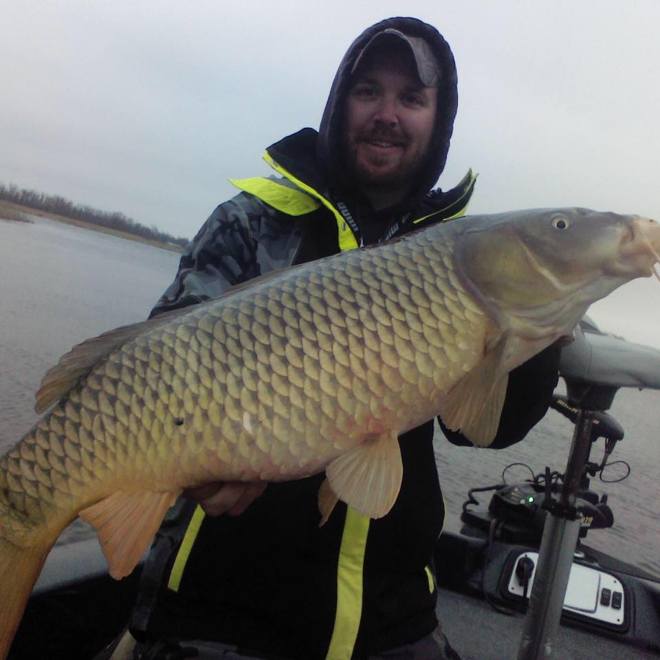 The Green Bay Fishing Junkies | What’s everyone’s go-to walleye ...