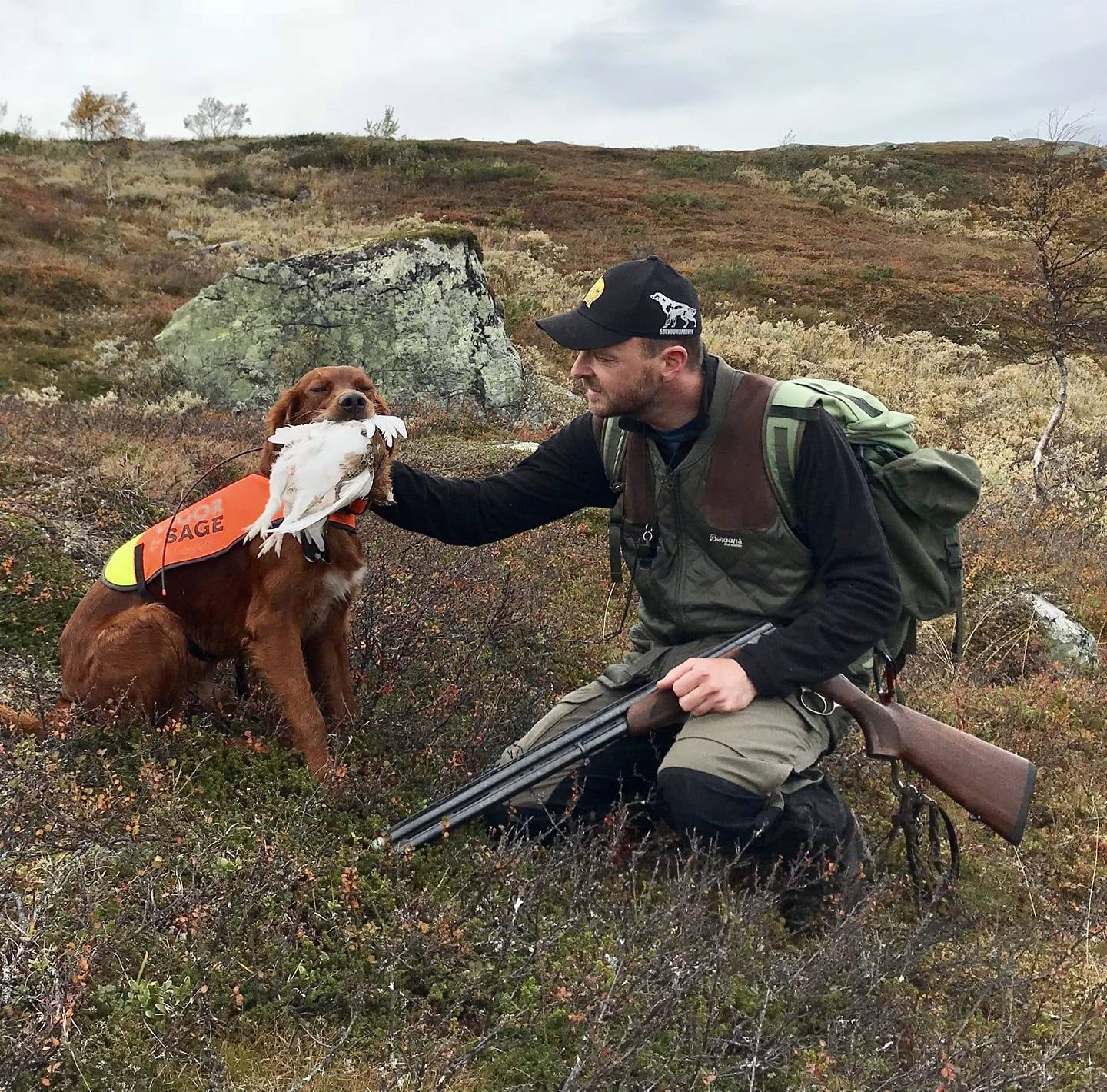 Breidskaret's kennel - Sol 1UK i dag! Ført av Roy Allan Skaret. Jeg ...