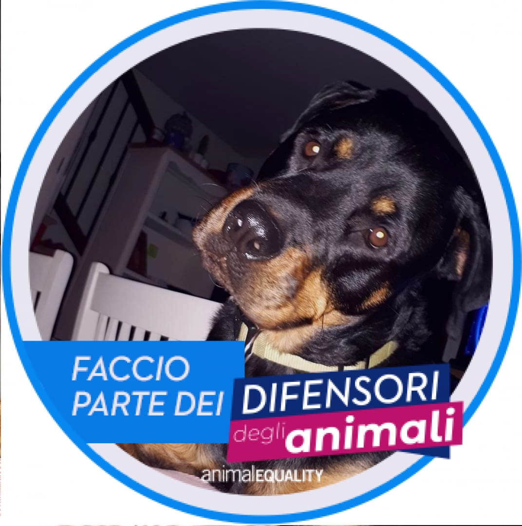 Buon pomeriggio a tutti🫂🫂🫂😘 | Martina Enrico Mannai