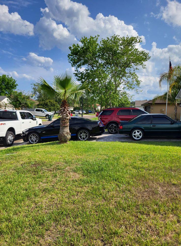 Ford Small Block Masters | I have a set of Shorty Headers on my 302 as ...