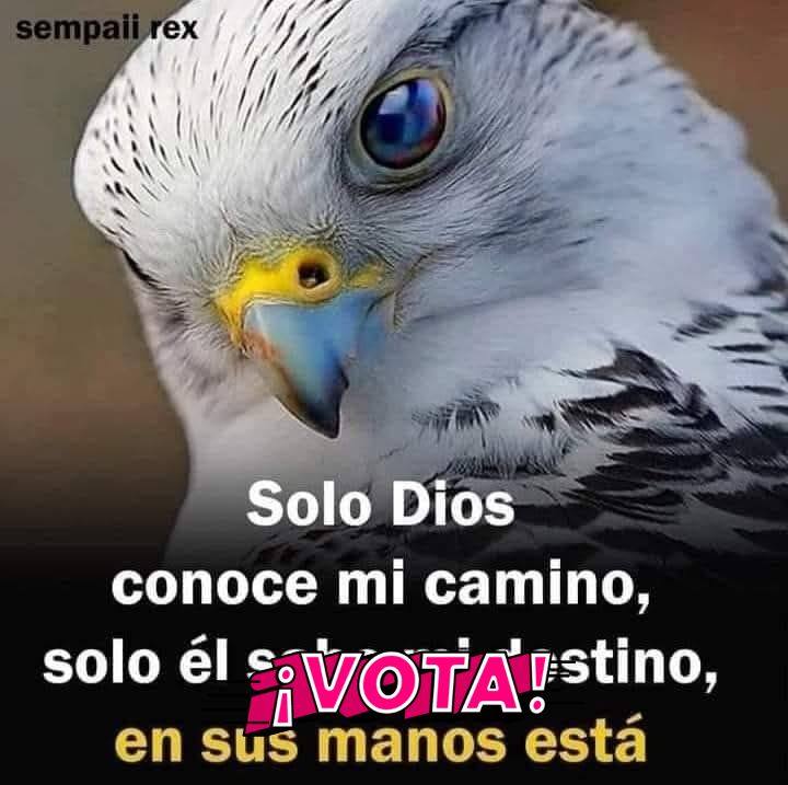 Dul Ce