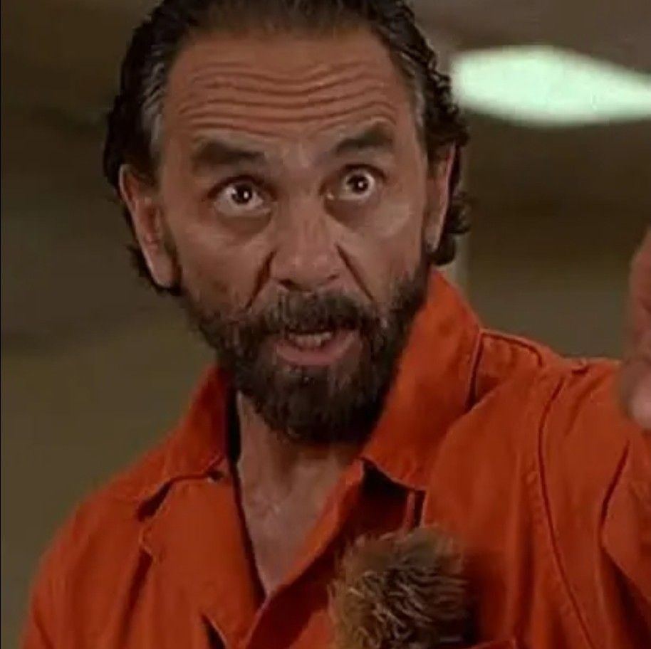HOW HIGH 2 ビー・バッド・ボーイズ 大麻 マリファナ チーチ&チョン The sequel to the iconic and outrageous cult classic is now in