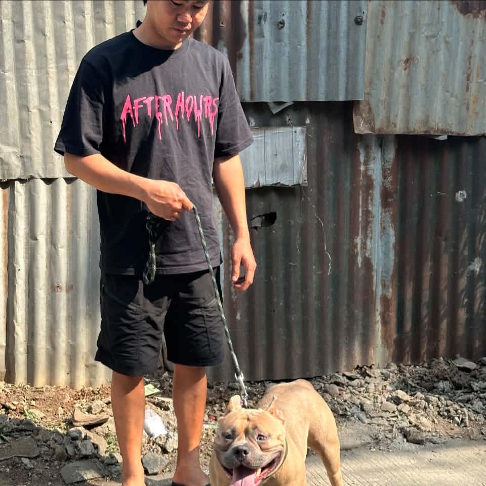 Possible dog rashes: Ano po kaya pwedeng remedy dito? | Facebook