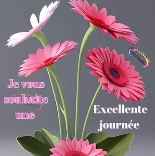 Merveilles Découvertes et Citations | Facebook