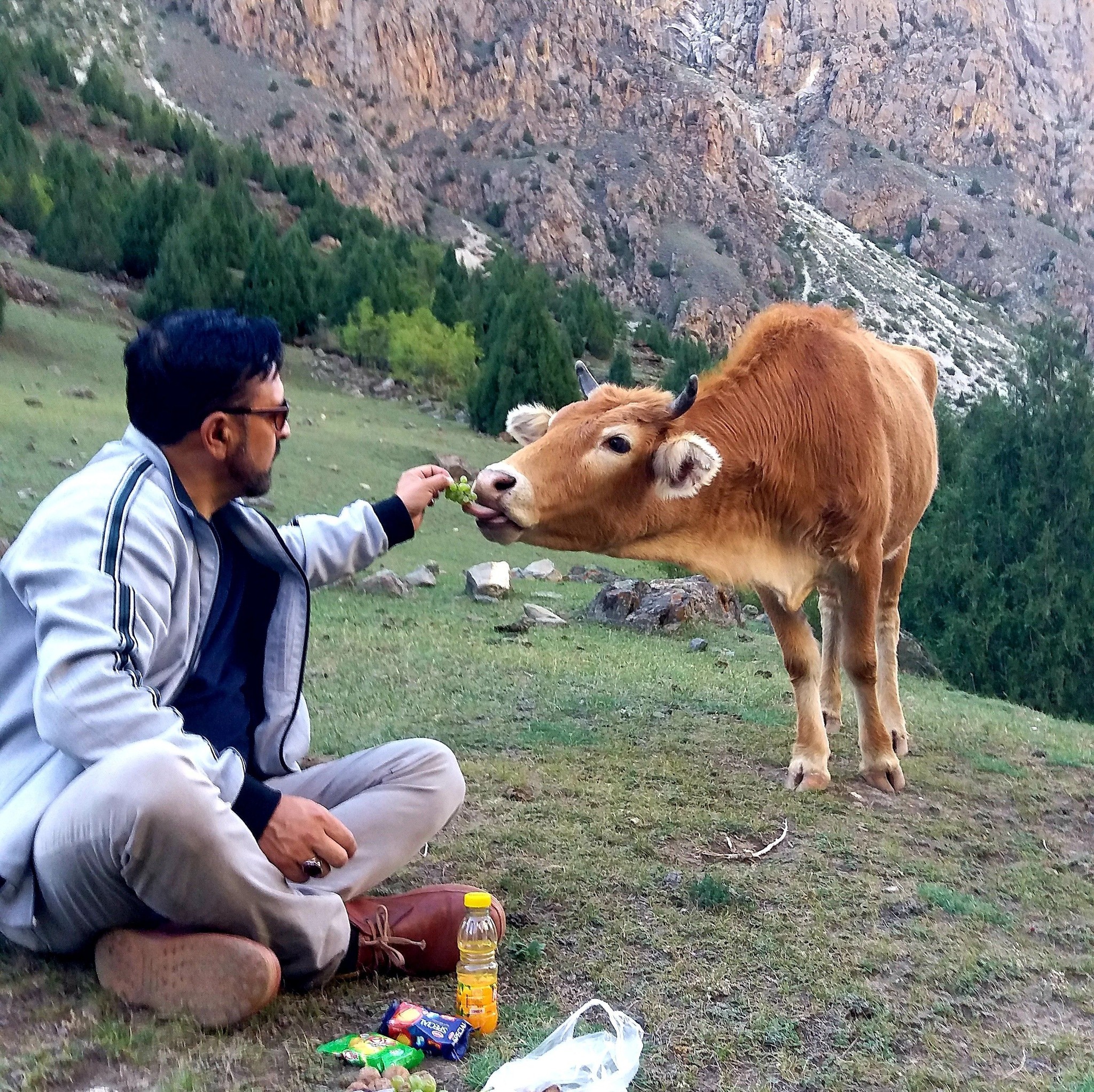 Baamejahan - ویلڈن حسن سمائیری ♡♡♡♡♡ یہ بات کسی سے پوشیدہ نہیں کہ حلقہ ...