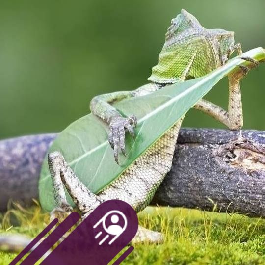 Chợ Bàn Phím Cơ Việt Nam | Phím 16 củ =))) Xứng đáng không các bác ...