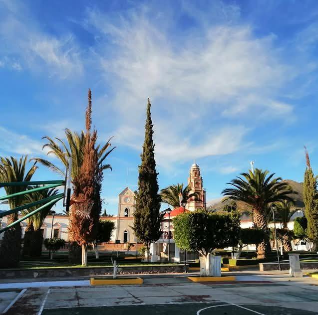 Cardonal Hidalgo