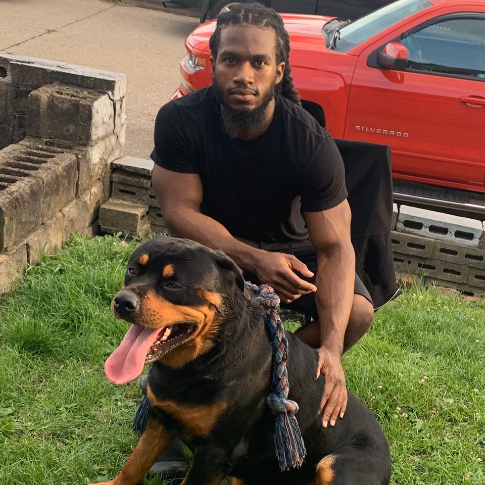 HP Israel