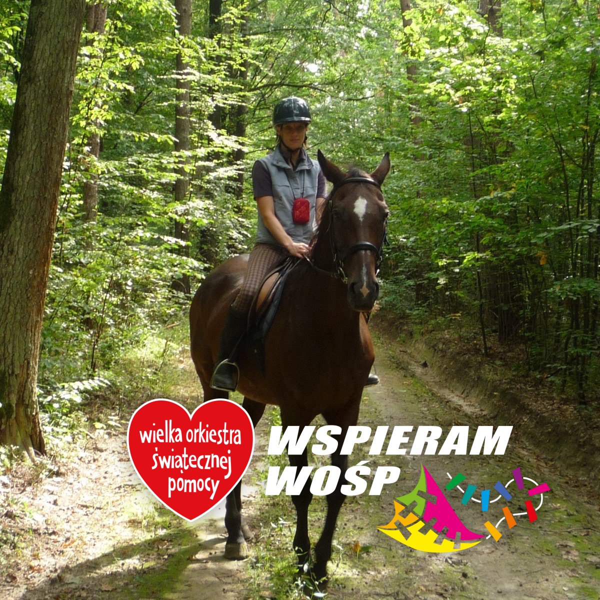 Arabian Horse World - 