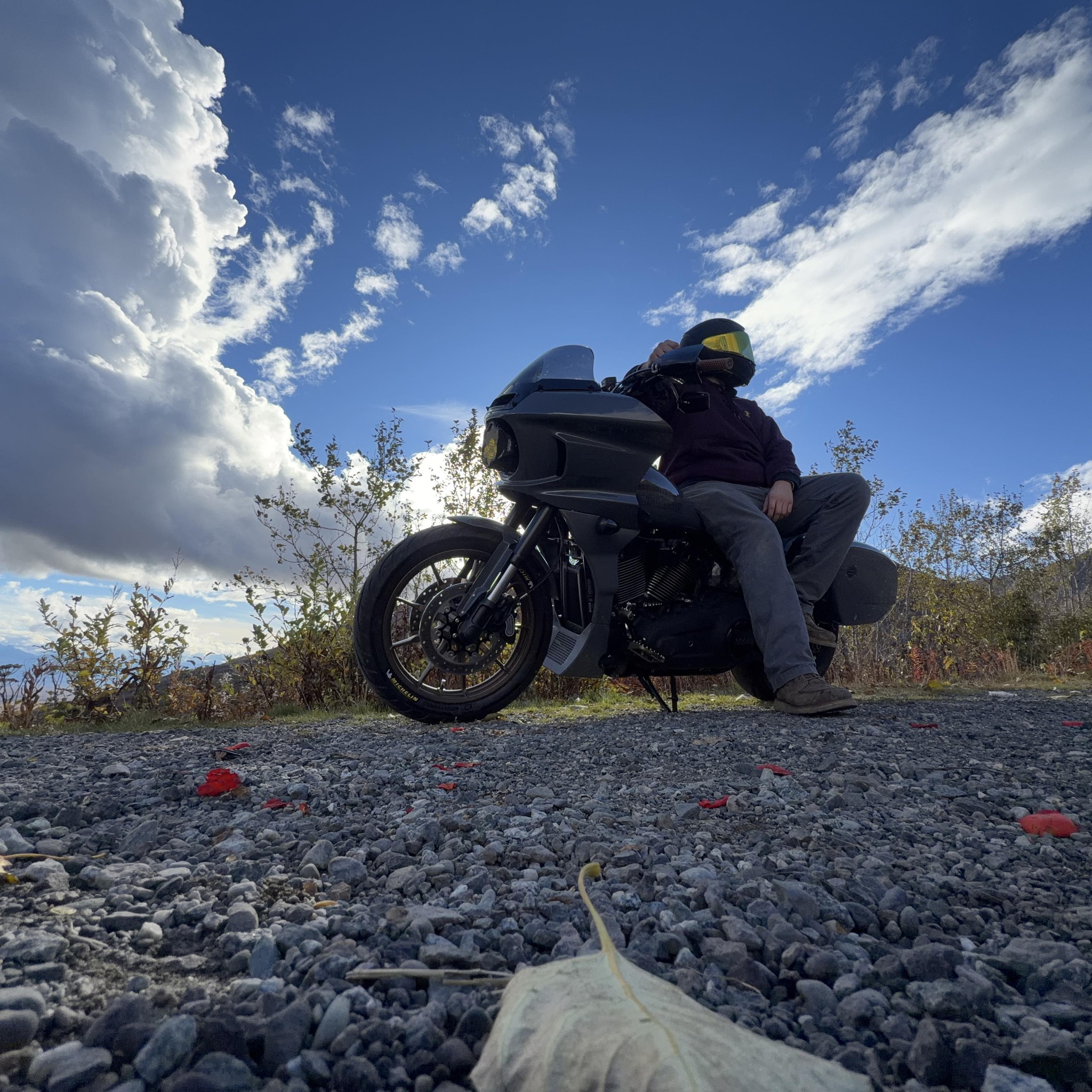 Harley Davidson Low Rider ST | Pfa. Anyone ever had their clutch side ...
