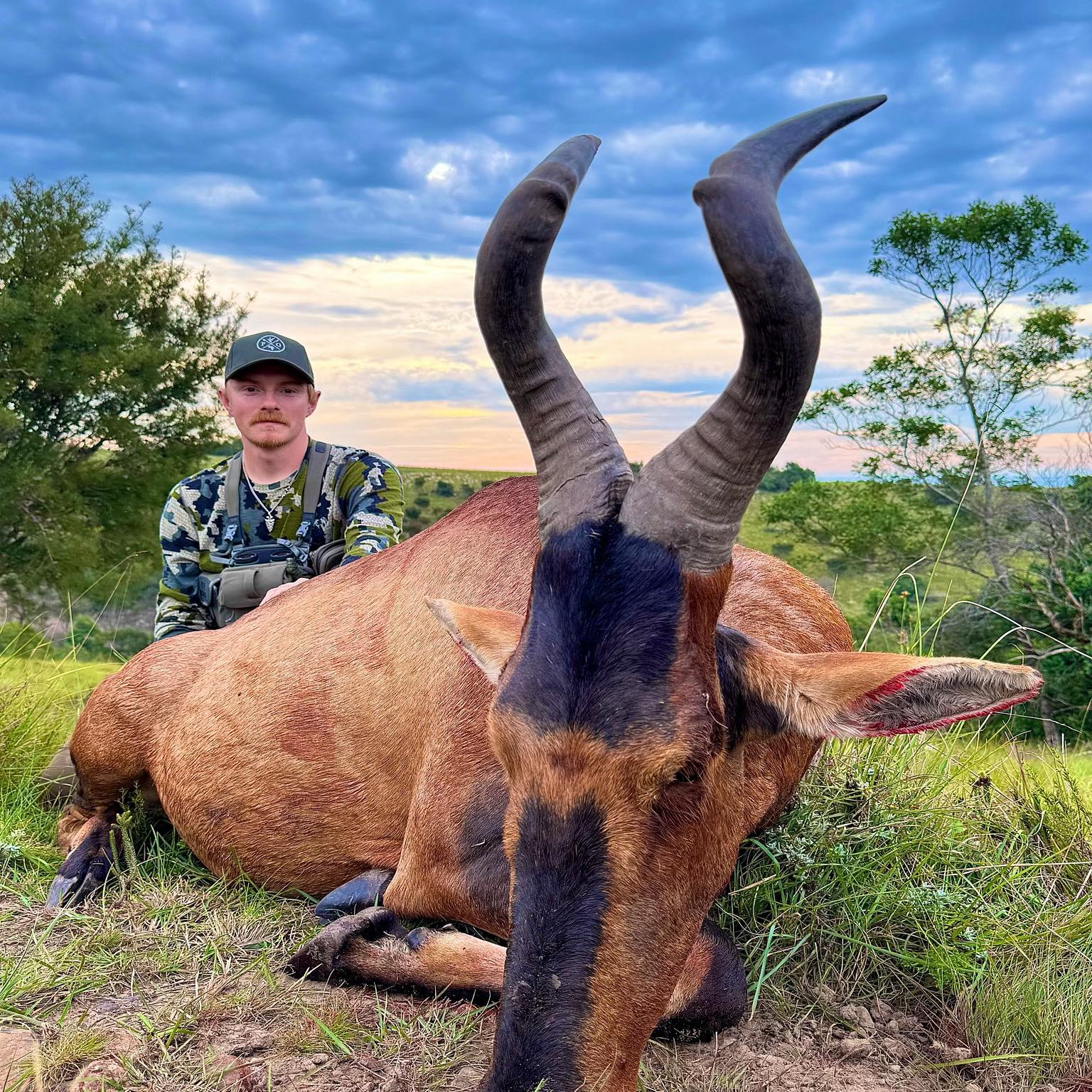The sleep schedule’s a little different at Shadow Ranch Meet our new ...