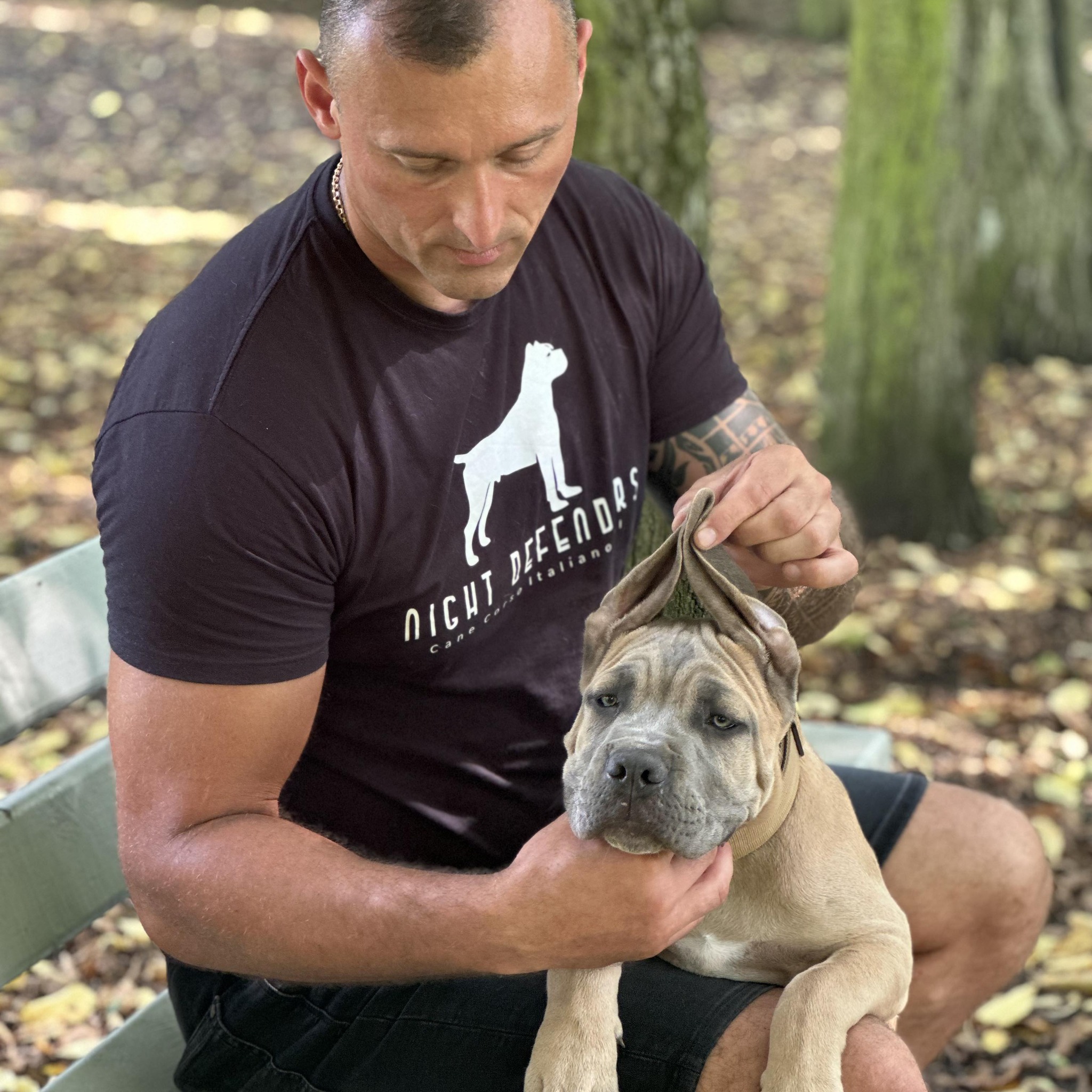 night-defenders-night-defenders-cane-corso-kennel-fci
