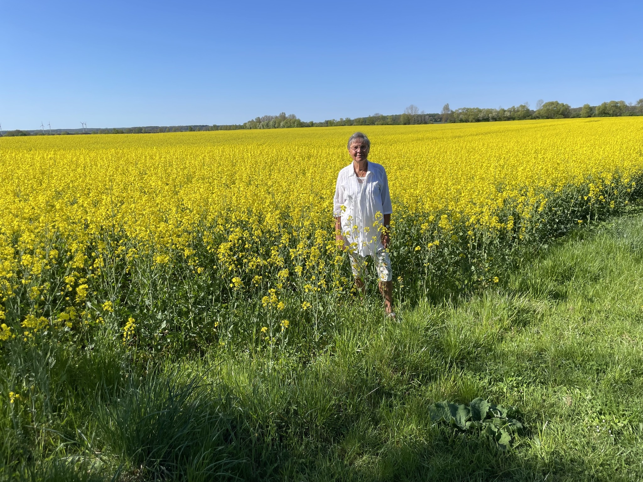 Een vlucht ooievaars boven onze boerderij!👍👌 | Marcel Heylen