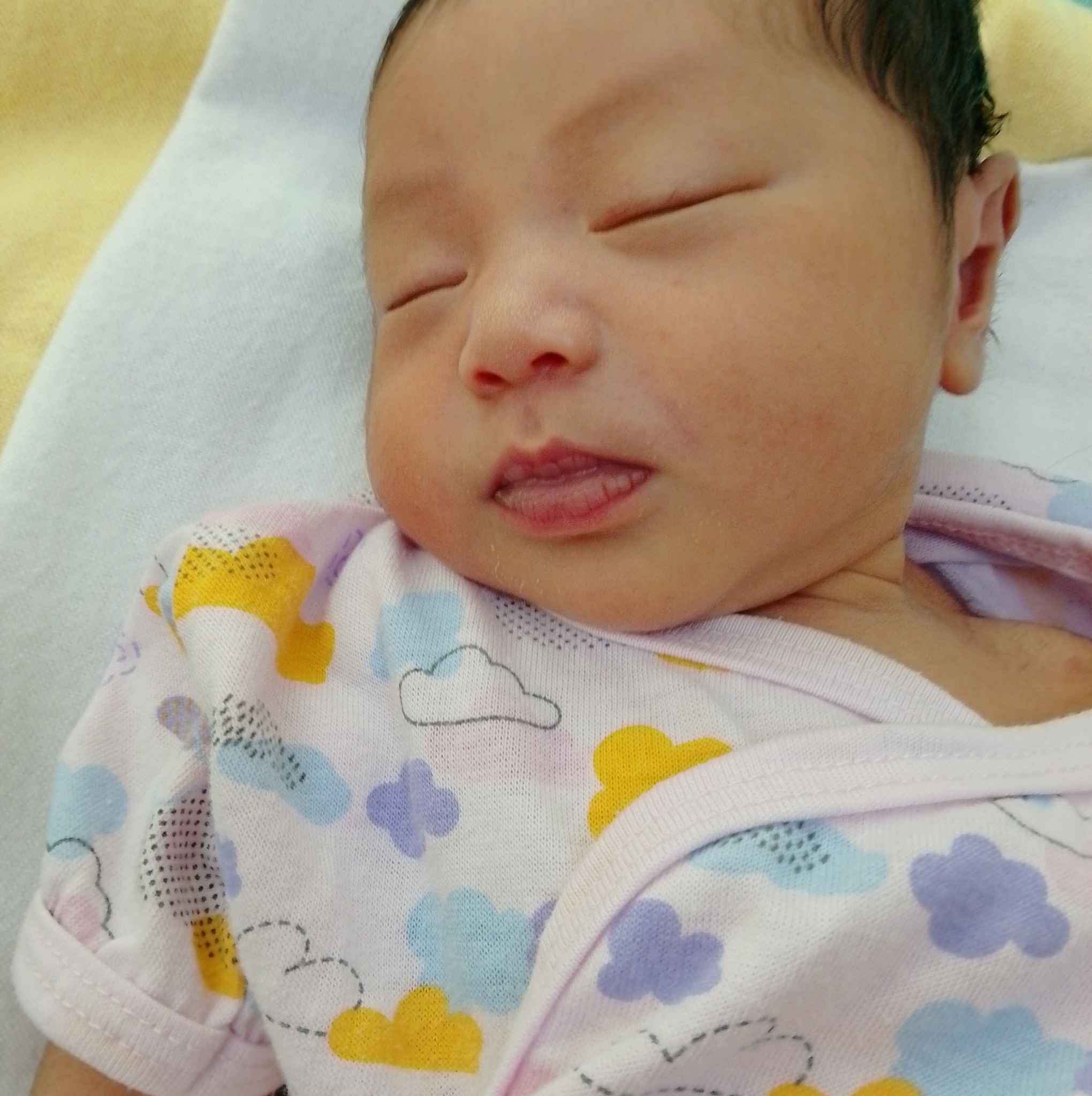Rose Marie N. Basa