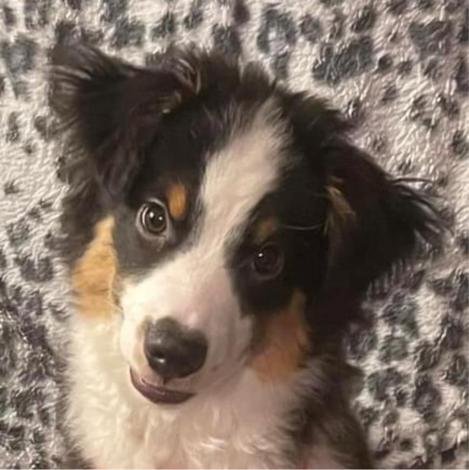 Name her a grandma name starting with letter M | Facebook