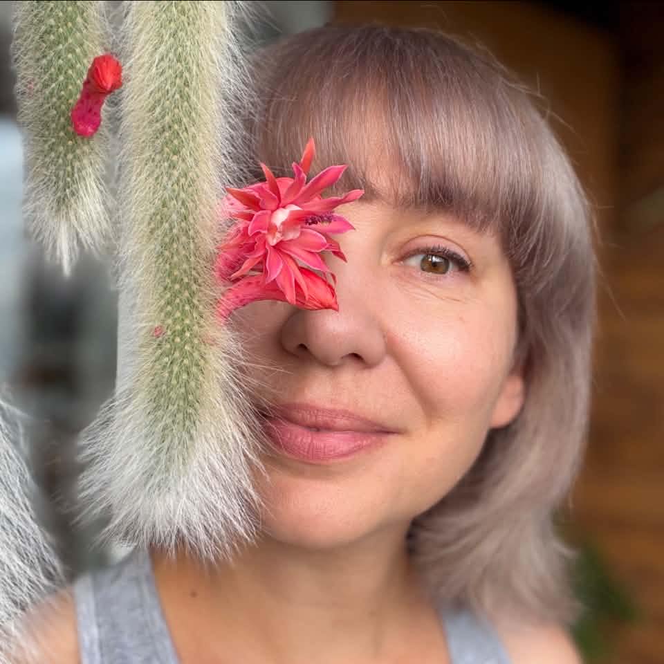 Air Plants Group | I have seen this little guy called by two different ...