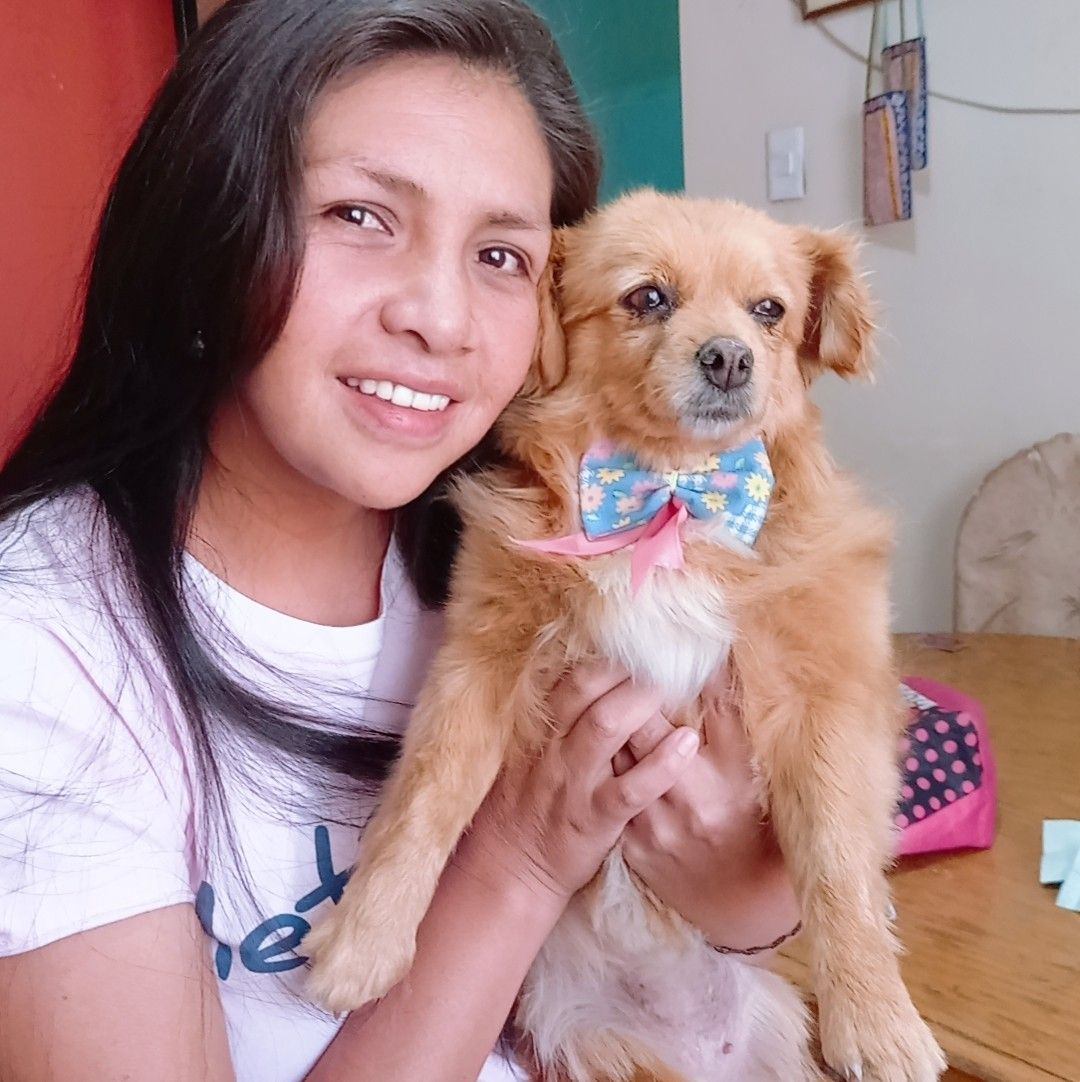 Un descancito para tomarnos una chachita lareña Ahi con la siembra del ...