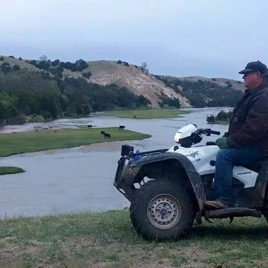 Diane Burress - This is the before photo of my buggy, then... | Facebook